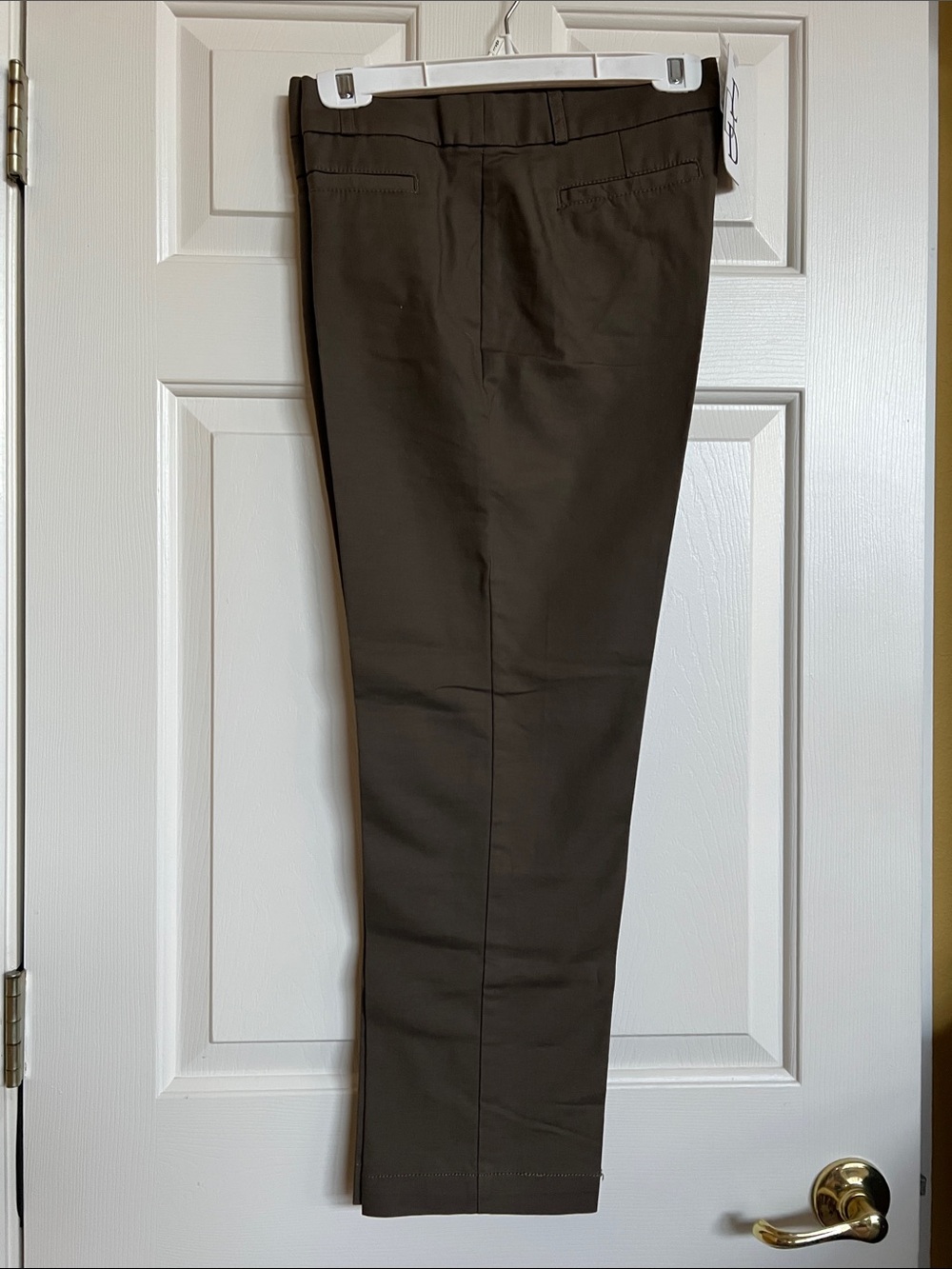 Dalia Collection pants ( NWT )